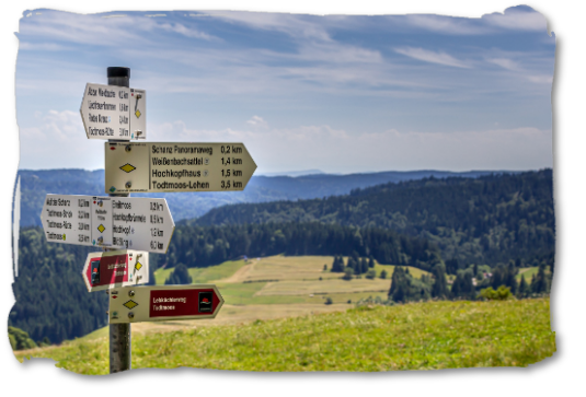 Der Schwarzwald